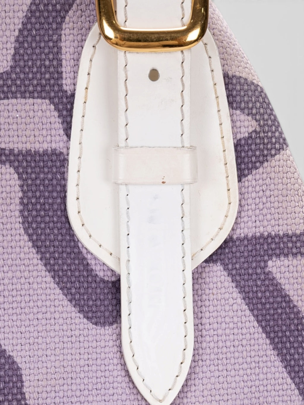 Louis Vuitton Tahitienne Cabas PM In Lilac/Purple