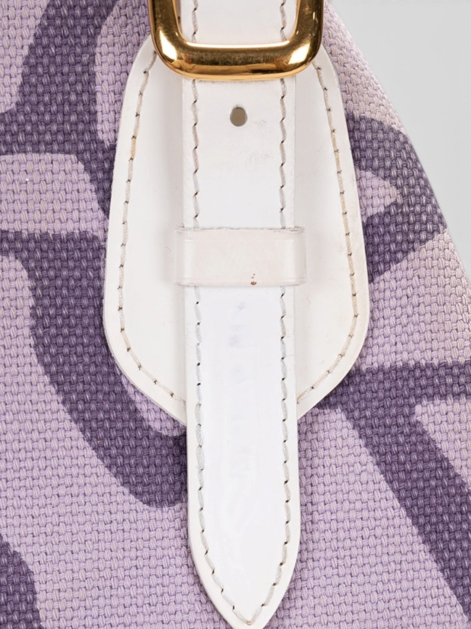 Louis Vuitton Tahitienne Cabas PM In Lilac/Purple